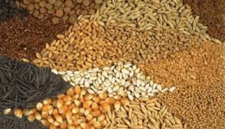 Haryana Seeds Development Corporation starts selling seeds of Rabi crops