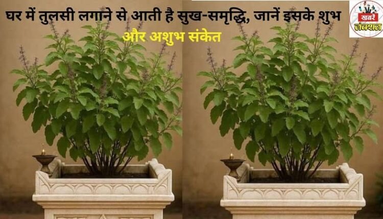 Tulsi Vastu Tips: Planting Tulsi at home brings happiness and prosperity, know its auspicious and inauspicious signs.
