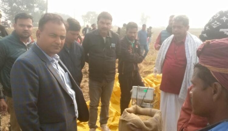 Lakhisarai's District Magistrate, Mithilesh Mishra, became a farmer for a day, harvesting the ripe crops in the field.