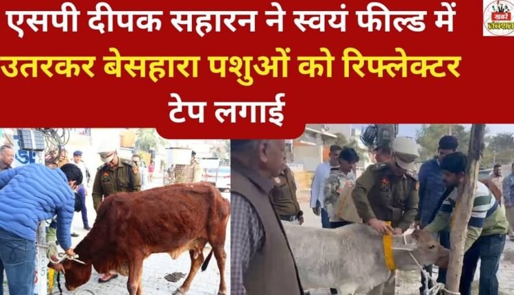 SP Deepak Saharan himself went into the field and attached reflective tape to stray animals.