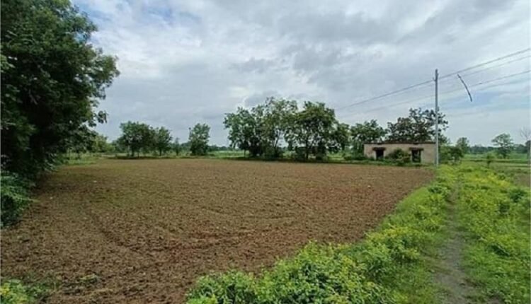 Industrial Investment Promotion Package 2025: The Bihar government is offering land for Re. 1, a golden opportunity for large investors