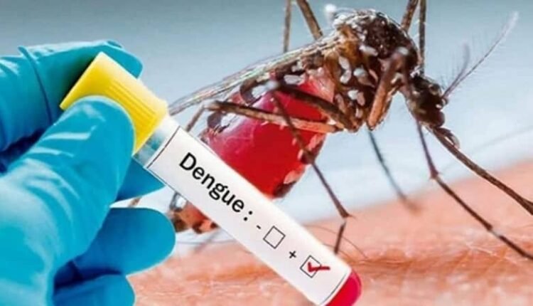 District administration launches special campaign for dengue prevention; awareness being increased through fogging and public announcements.
