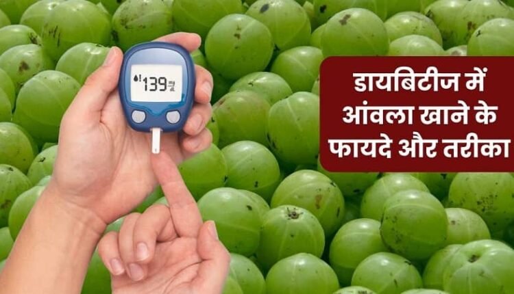 Amla: A natural companion for diabetes management.
