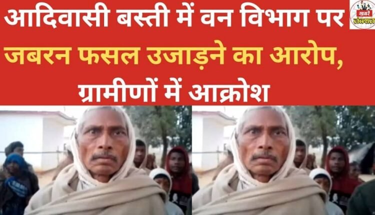 Forest department accused of forcibly destroying crops in tribal settlement, sparking anger among villagers.