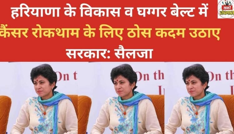 The government should take concrete steps for the development of Haryana and for cancer prevention in the Ghaggar belt: Selja