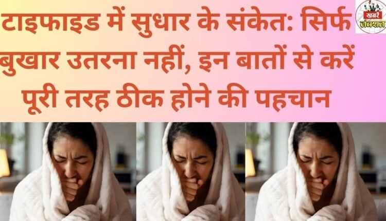 Signs of recovery from typhoid: It's not just about the fever subsiding; look for these signs to confirm complete recovery.