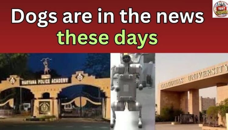 Dogs are in the news these days