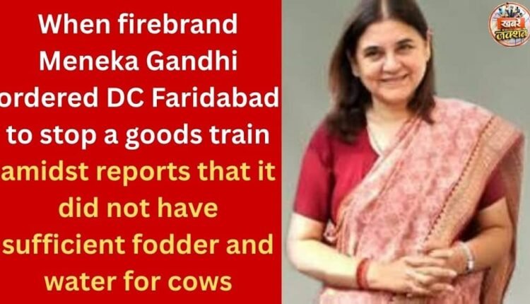 When firebrand Meneka Gandhi ordered DC Faridabad to stop a goods train amidst reports that it did not have sufficient fodder and water for cows