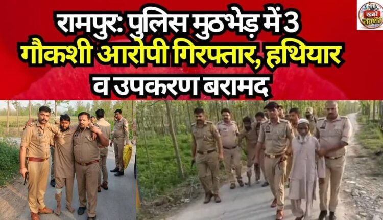 Rampur: 3 Cow Slaughter Accused Arrested in Police Encounter; Weapons and Equipment Recovered