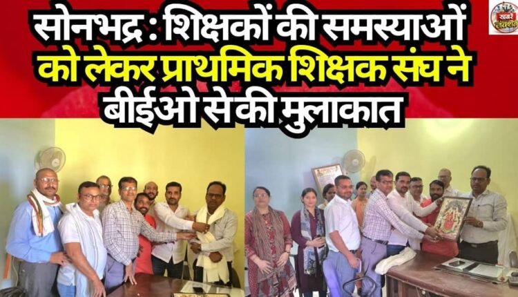 Sonbhadra: Primary Teachers' Association Meets BEO Regarding Teachers' Issues