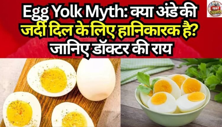 Egg Yolk Myth: Is the Egg Yolk Harmful for the Heart? Find Out What the Doctor Says.