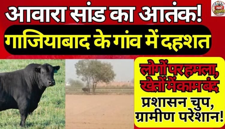 Stray bull terror: Villagers in Ghaziabad's Mohammadpur Kadim village panic