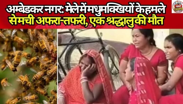Ambedkar Nagar: Bee attack creates panic at fair, one devotee dies