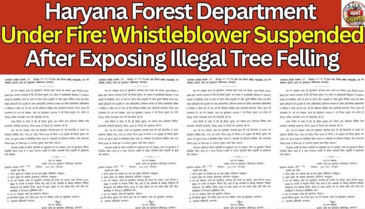 Haryana Forest Department Under Fire: Whistleblower Suspended After Exposing Illegal Tree Felling