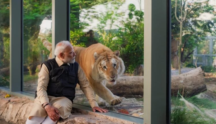 One year of Vantara: Setting a new benchmark in treatment, rehabilitation and wildlife conservation