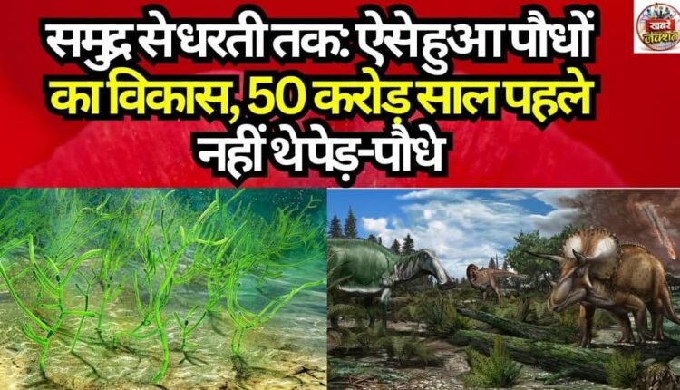 From Sea to Land: How Plants Evolved—500 Million Years Ago, There Were No Trees or Plants