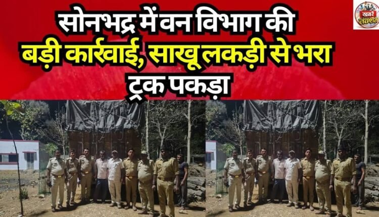 Major Action by Forest Department in Sonbhadra: Truck Loaded with Sal Wood Seized