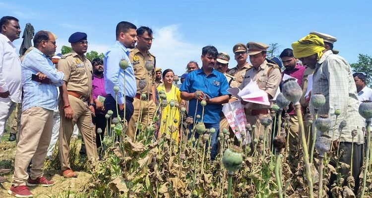 In Barabanki, the DM and SP inspected opium cultivation and interacted with farmers.