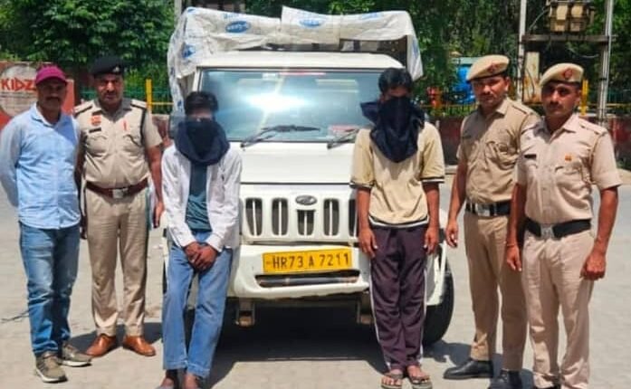 Cattle Theft from Dairy Solved Within Hours; Two Accused Apprehended