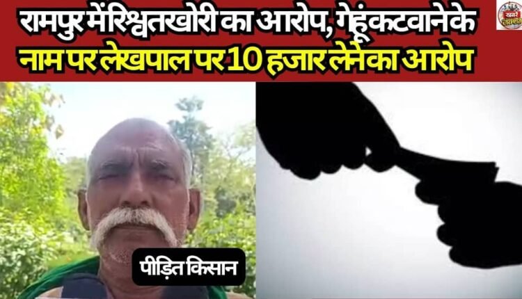 Bribery Allegations in Rampur: Patwari Accused of Accepting ₹10,000 for Wheat Harvesting Services
