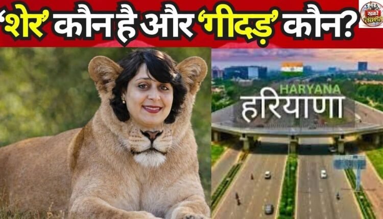 Who is the ‘Lion’ and who is the ‘Jackal’?