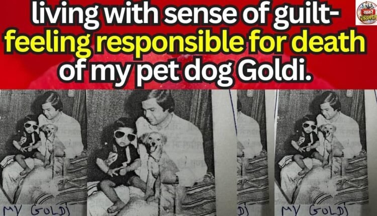 living with sense of guilt-feeling responsible for death of my pet dog Goldi.