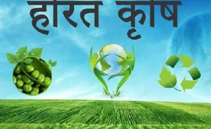 Green Scheme Worth ₹298 Crore Approved in Haryana Under CAMPA; Planting of 2 Million Saplings and Wildlife Conservation Measures Sanctioned.