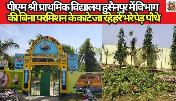 Lush green trees and plants are being cut down at PM Shri Primary School, Hussainpur, without permission from the department.