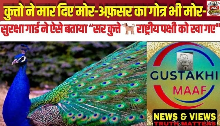Dogs Kill Peacocks—Officer’s Gotra Also ‘Mor’—Security Guard Reports: “Sir, the dogs 🐕 ate the National Bird.”