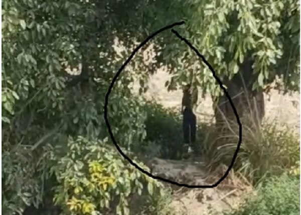 Railway Employee Commits Suicide by Hanging Himself from a Tree in Rampur; Police Launch Investigation