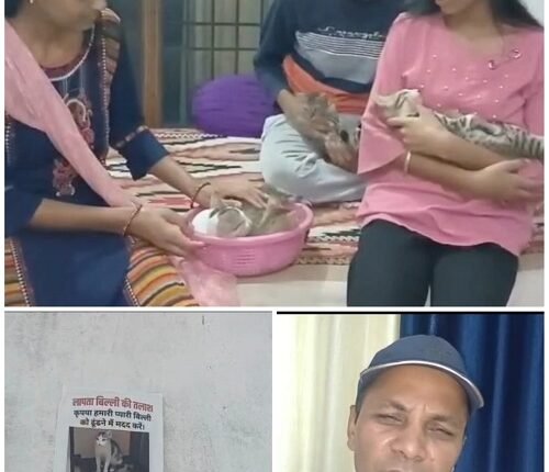 Family in Rampur distressed over disappearance of pet cat ‘Babli’; no trace found even after 25 days; a reward of ₹5,000 has been announced.