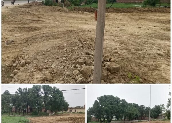 Reserved government land is being razed overnight! What is the purpose of changing the appearance of government land?