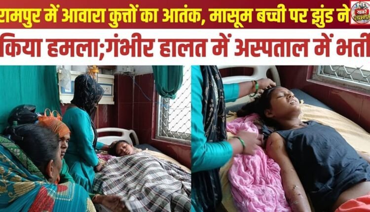 Stray dog ​​menace in Rampur; pack attacks innocent girl; hospitalized in critical condition.