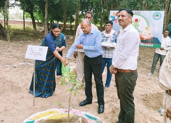 'Rudraksh Vatika' established in the herbal park as part of a massive plantation drive