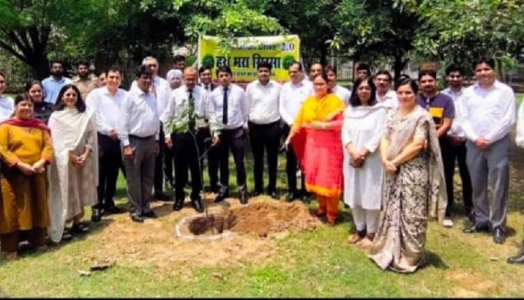 sirsa-hara-bhara-sirsa-2-massive-plantation-drive-district-court-plantation-campaign