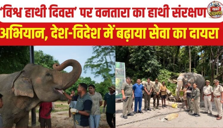 world-elephant-day-vantara-anant-ambani-elephant-conservation