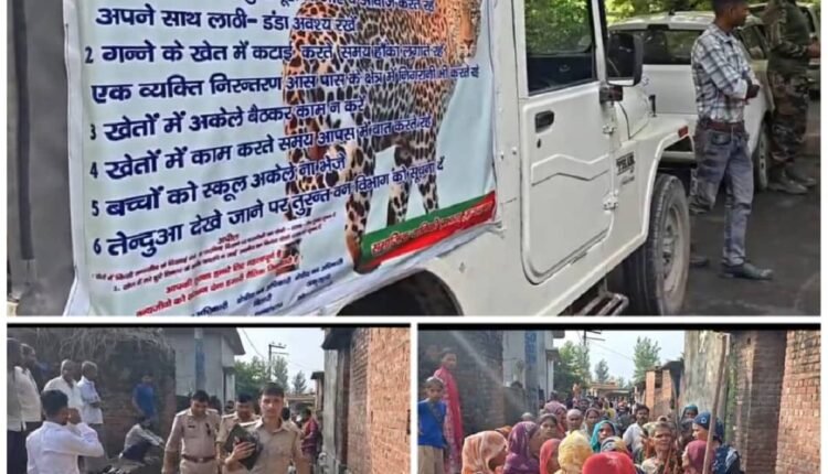 moradabad-leopard-attack-woman-killed-thakurdwara-balia-bahapur