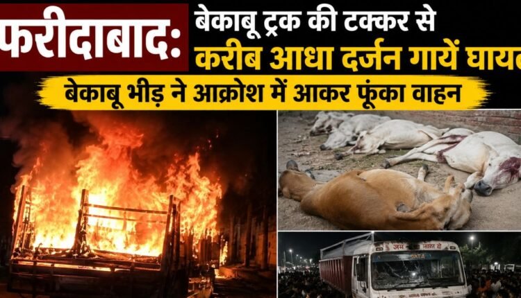 Faridabad: Around half a dozen cows injured after being hit by a speeding truck; an enraged mob torched the vehicle.
