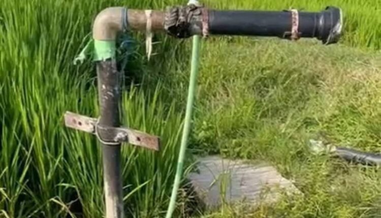nathusari-chopta-tubewell-cable-starter-theft-two-arrested