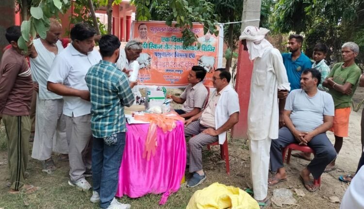 rampur-seva-sankalp-animal-health-camps-villages