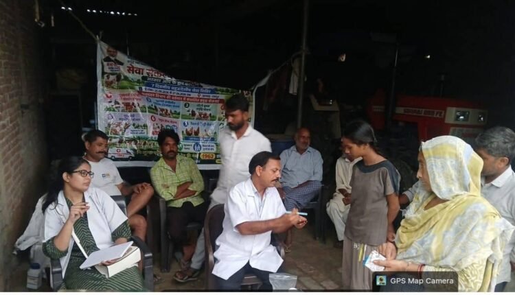 alipura-veterinary-camp-animals-treated
