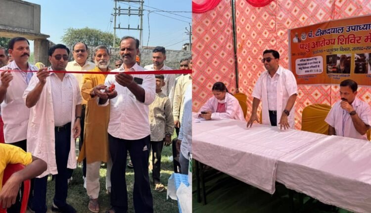 rampur-animal-health-fair-pashu-treatment