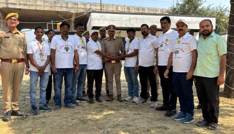 inspector-in-charge-plants-11-saplings
