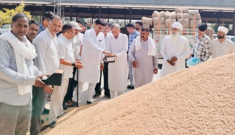 haryana-paddy-procurement-2026-27-msp-dhan-purchase