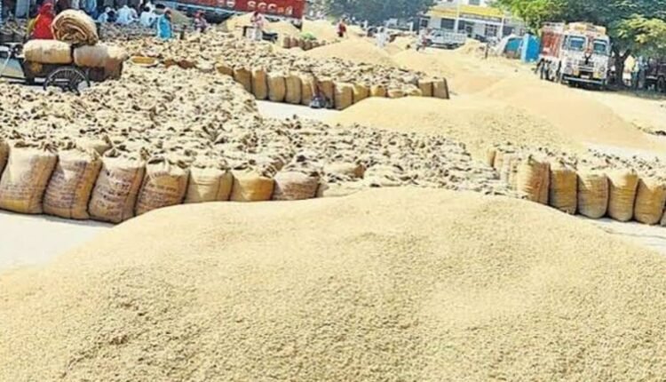 haryana-district-mandis-paddy-procurement