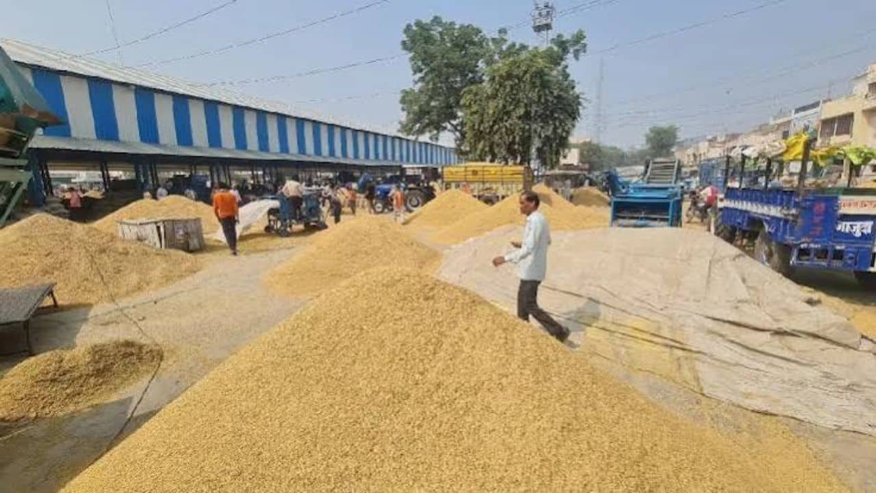 sirsa-sports-trials-paddy-procurement