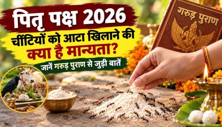 feeding ants in pitru paksha garuda purana significance